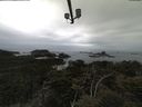 ./images/calvert/lookout/20210511/lookout20210511_105001.jpg