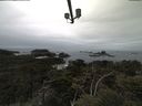 ./images/calvert/lookout/20210511/lookout20210511_112001.jpg