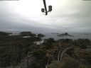 ./images/calvert/lookout/20210511/lookout20210511_112501.jpg