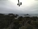 ./images/calvert/lookout/20210511/lookout20210511_113501.jpg