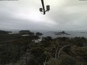 ./images/calvert/lookout/20210511/lookout20210511_114001.jpg
