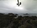 ./images/calvert/lookout/20210511/lookout20210511_114501.jpg