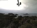./images/calvert/lookout/20210511/lookout20210511_120502.jpg