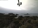 ./images/calvert/lookout/20210511/lookout20210511_121002.jpg