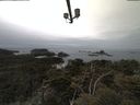 ./images/calvert/lookout/20210511/lookout20210511_121502.jpg