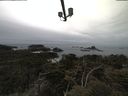 ./images/calvert/lookout/20210511/lookout20210511_122502.jpg
