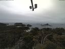 ./images/calvert/lookout/20210511/lookout20210511_124501.jpg