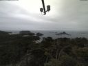 ./images/calvert/lookout/20210511/lookout20210511_132501.jpg