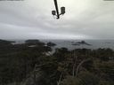 ./images/calvert/lookout/20210511/lookout20210511_140502.jpg