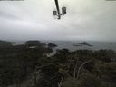 ./images/calvert/lookout/20210511/lookout20210511_141502.jpg