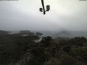 ./images/calvert/lookout/20210511/lookout20210511_145501.jpg