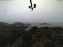 ./images/calvert/lookout/20210511/lookout20210511_150501.jpg