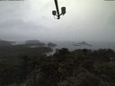 ./images/calvert/lookout/20210511/lookout20210511_151501.jpg