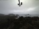 ./images/calvert/lookout/20210511/lookout20210511_154501.jpg