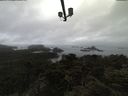 ./images/calvert/lookout/20210511/lookout20210511_171001.jpg