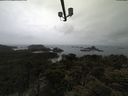 ./images/calvert/lookout/20210511/lookout20210511_175502.jpg