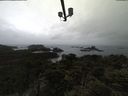 ./images/calvert/lookout/20210511/lookout20210511_181002.jpg