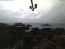 ./images/calvert/lookout/20210511/lookout20210511_182002.jpg