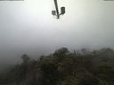 ./images/calvert/lookout/20210512/lookout20210512_094502.jpg