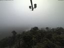 ./images/calvert/lookout/20210512/lookout20210512_111002.jpg