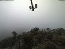 ./images/calvert/lookout/20210512/lookout20210512_111502.jpg