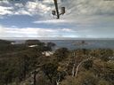 ./images/calvert/lookout/20210512/lookout20210512_131002.jpg