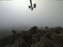 ./images/calvert/lookout/20210512/lookout20210512_135001.jpg