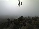 ./images/calvert/lookout/20210512/lookout20210512_140501.jpg