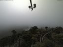 ./images/calvert/lookout/20210512/lookout20210512_141001.jpg