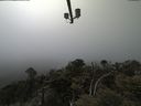 ./images/calvert/lookout/20210512/lookout20210512_141501.jpg