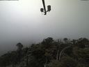 ./images/calvert/lookout/20210512/lookout20210512_142001.jpg
