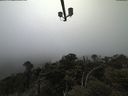 ./images/calvert/lookout/20210512/lookout20210512_145002.jpg