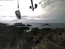 ./images/calvert/lookout/20210512/lookout20210512_155501.jpg