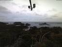 ./images/calvert/lookout/20210513/lookout20210513_052001.jpg