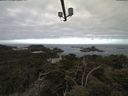 ./images/calvert/lookout/20210513/lookout20210513_082002.jpg