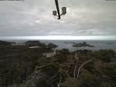 ./images/calvert/lookout/20210513/lookout20210513_084502.jpg