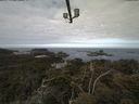 ./images/calvert/lookout/20210513/lookout20210513_092501.jpg