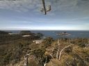 ./images/calvert/lookout/20210513/lookout20210513_114501.jpg