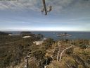./images/calvert/lookout/20210513/lookout20210513_115002.jpg