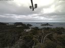 ./images/calvert/lookout/20210514/lookout20210514_093502.jpg