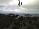 ./images/calvert/lookout/20210514/lookout20210514_094501.jpg