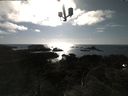 ./images/calvert/lookout/20210514/lookout20210514_174001.jpg