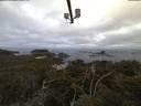 ./images/calvert/lookout/20210515/lookout20210515_052001.jpg