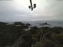 ./images/calvert/lookout/20210515/lookout20210515_064502.jpg