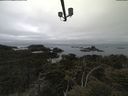 ./images/calvert/lookout/20210515/lookout20210515_073501.jpg
