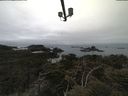 ./images/calvert/lookout/20210515/lookout20210515_080502.jpg