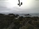 ./images/calvert/lookout/20210515/lookout20210515_081002.jpg