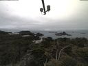 ./images/calvert/lookout/20210515/lookout20210515_081502.jpg