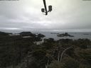 ./images/calvert/lookout/20210515/lookout20210515_083502.jpg