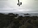 ./images/calvert/lookout/20210515/lookout20210515_084002.jpg